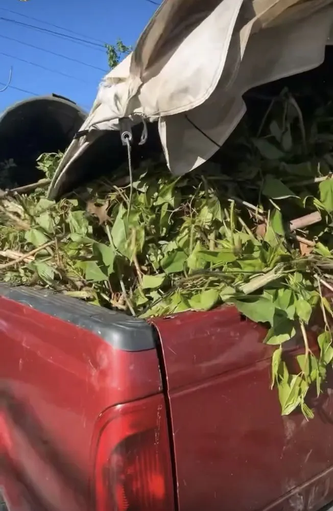 Trusted yard maintenance for outdoor upgrades across Fairfield, CT - Mebane and Mebane