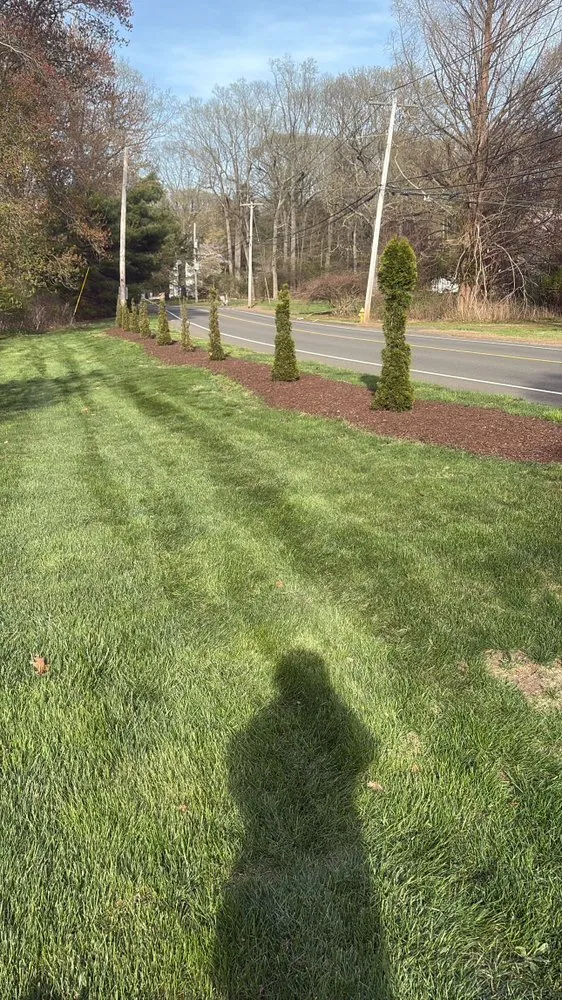 Trusted lawn care service in Fairfield, CT - Mebane and Mebane