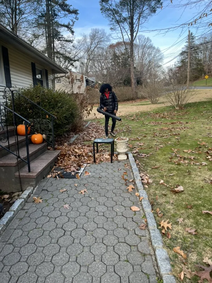 Top-rated yard maintenance for residential properties in Fairfield, CT by Mebane and Mebane