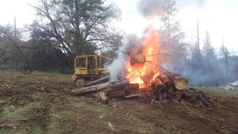 Trusted landscaping services for year-round maintenance across Ahwahnee, CA - Mecchi Mountain Moving