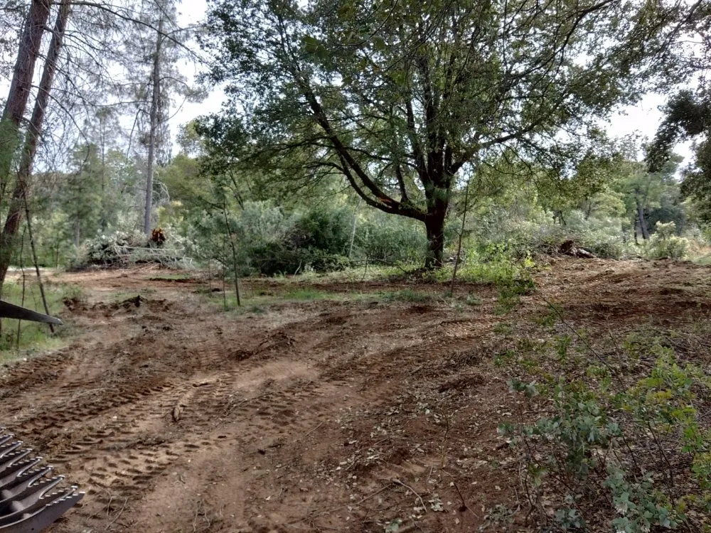 Trusted outdoor landscaping in Ahwahnee, CA - Mecchi Mountain Moving