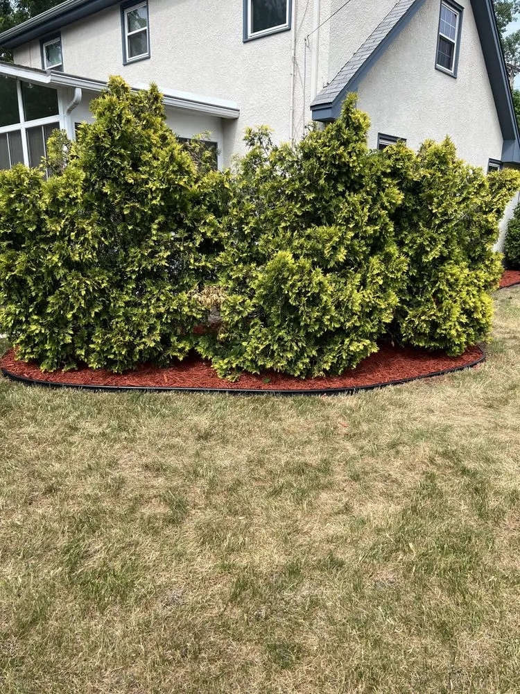 Expert landscape installation in Saint Paul, MN by Mecha Landscaping