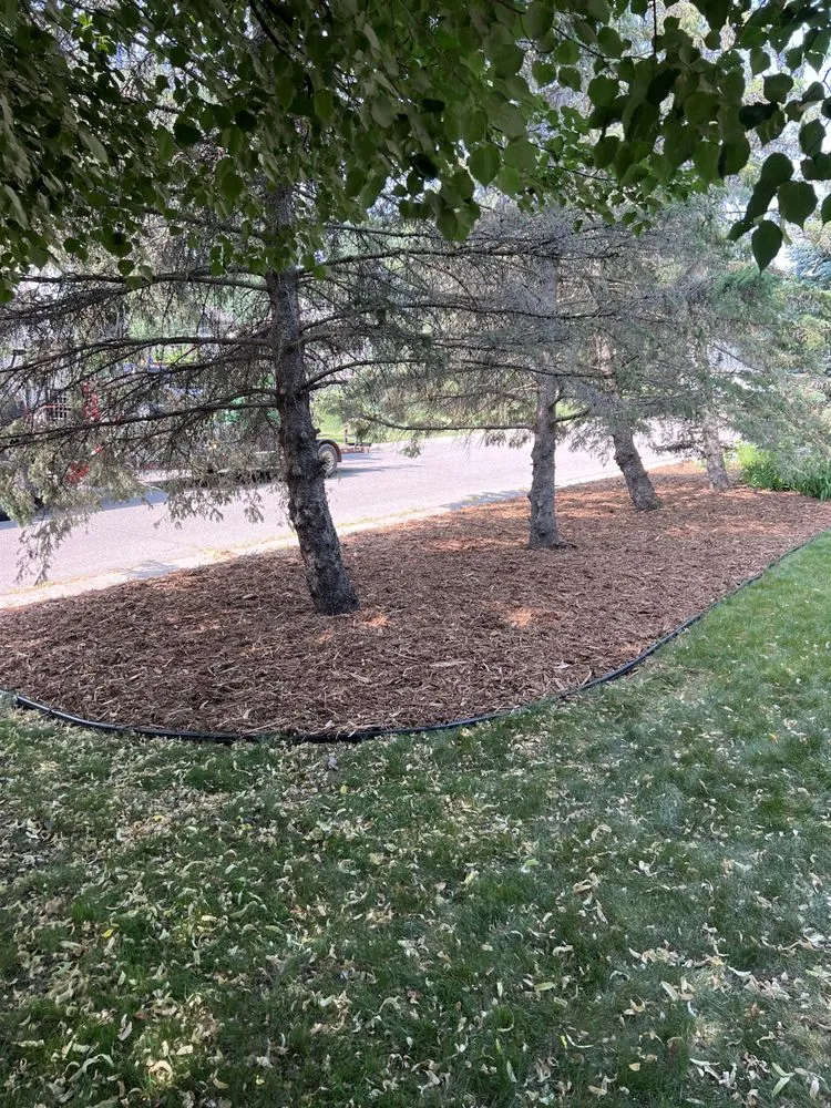 Reliable yard maintenance in Saint Paul, MN by Mecha Landscaping
