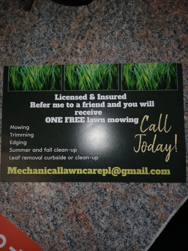 Expert lawn care service for year-round maintenance across Minneapolis, MN - Mechanical Lawncare