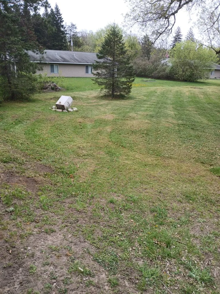 Reliable landscape design in Minneapolis, MN by Mechanical Lawncare