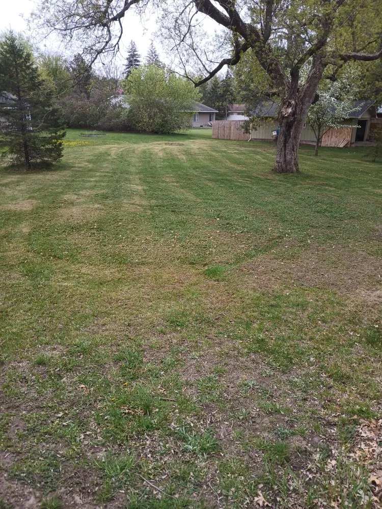 Affordable landscape design for year-round maintenance across Minneapolis, MN - Mechanical Lawncare