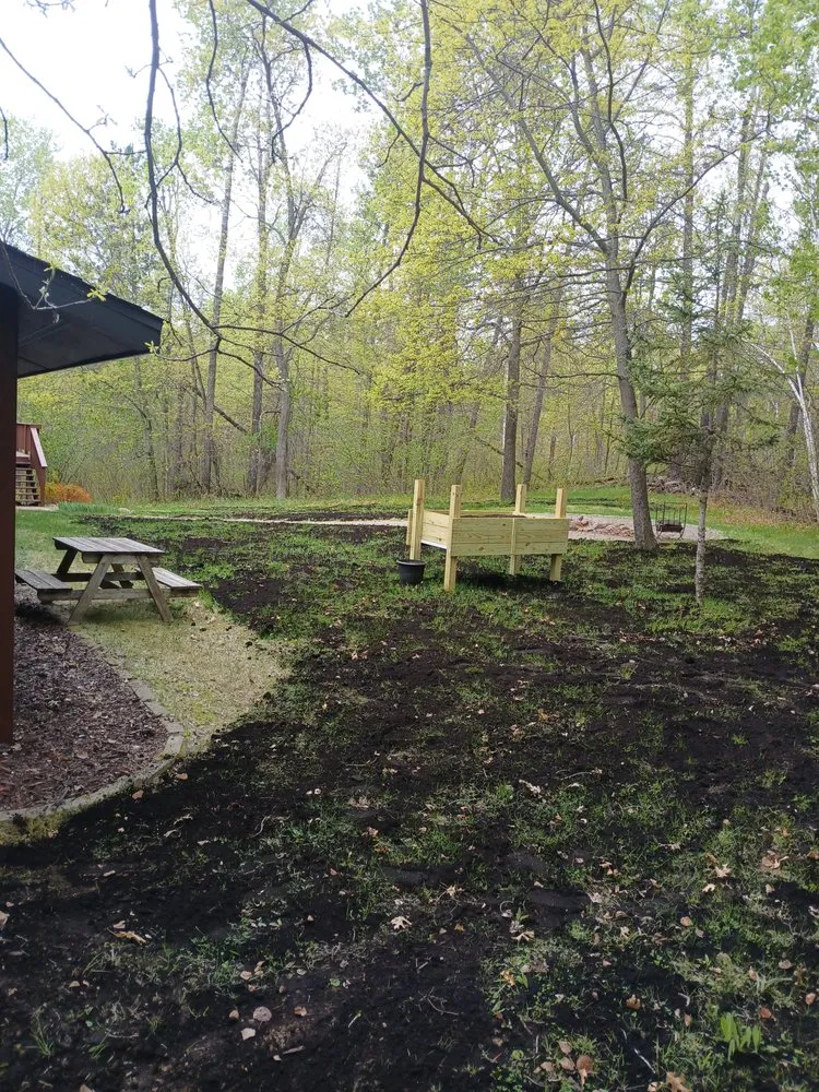 Expert yard cleanup service in Minneapolis, MN by Mechanical Lawncare