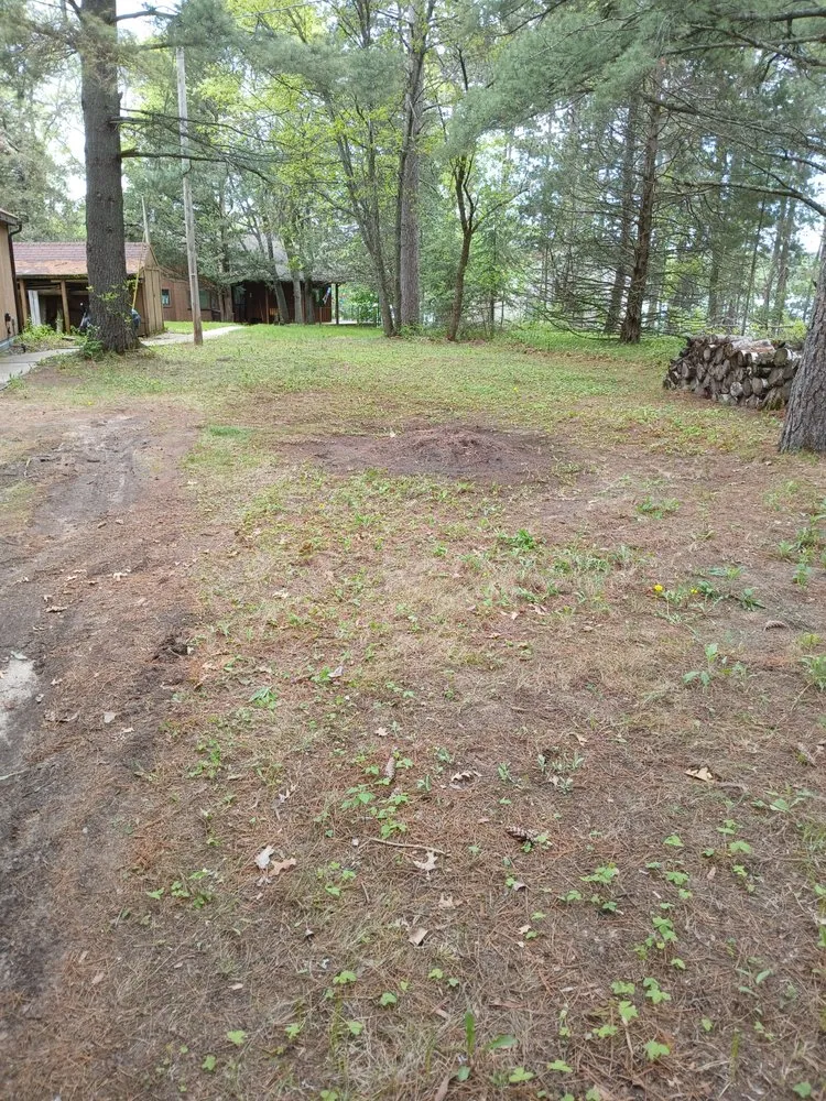 Trusted landscape design with custom design in Minneapolis, MN by Mechanical Lawncare