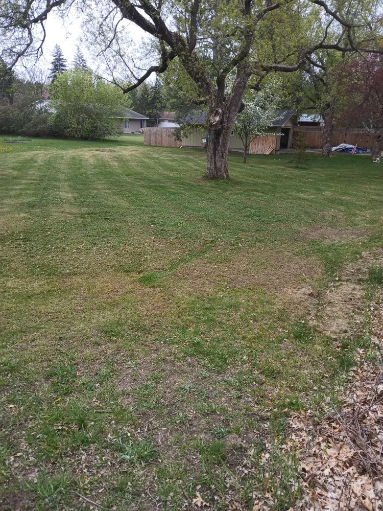 Trusted garden landscaping experts serving Minneapolis, MN - Mechanical Lawncare