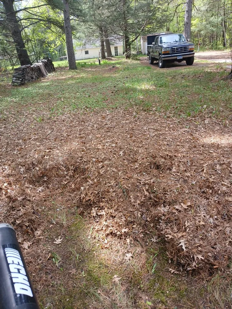 Affordable lawn mowing service near you in Minneapolis, MN by Mechanical Lawncare