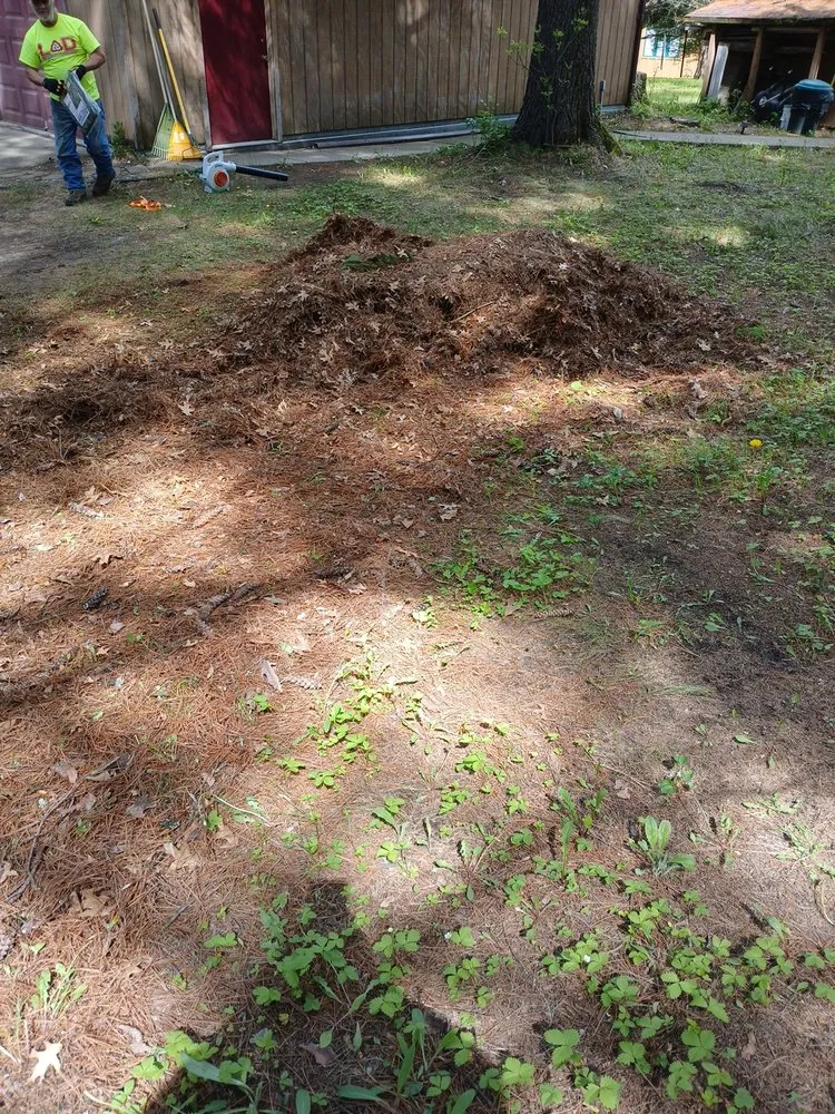 Affordable residential landscaping experts serving Minneapolis, MN - Mechanical Lawncare