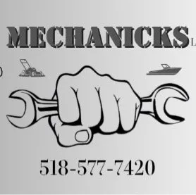 Expert landscape design experts serving Rotterdam, NY - Mechanicks