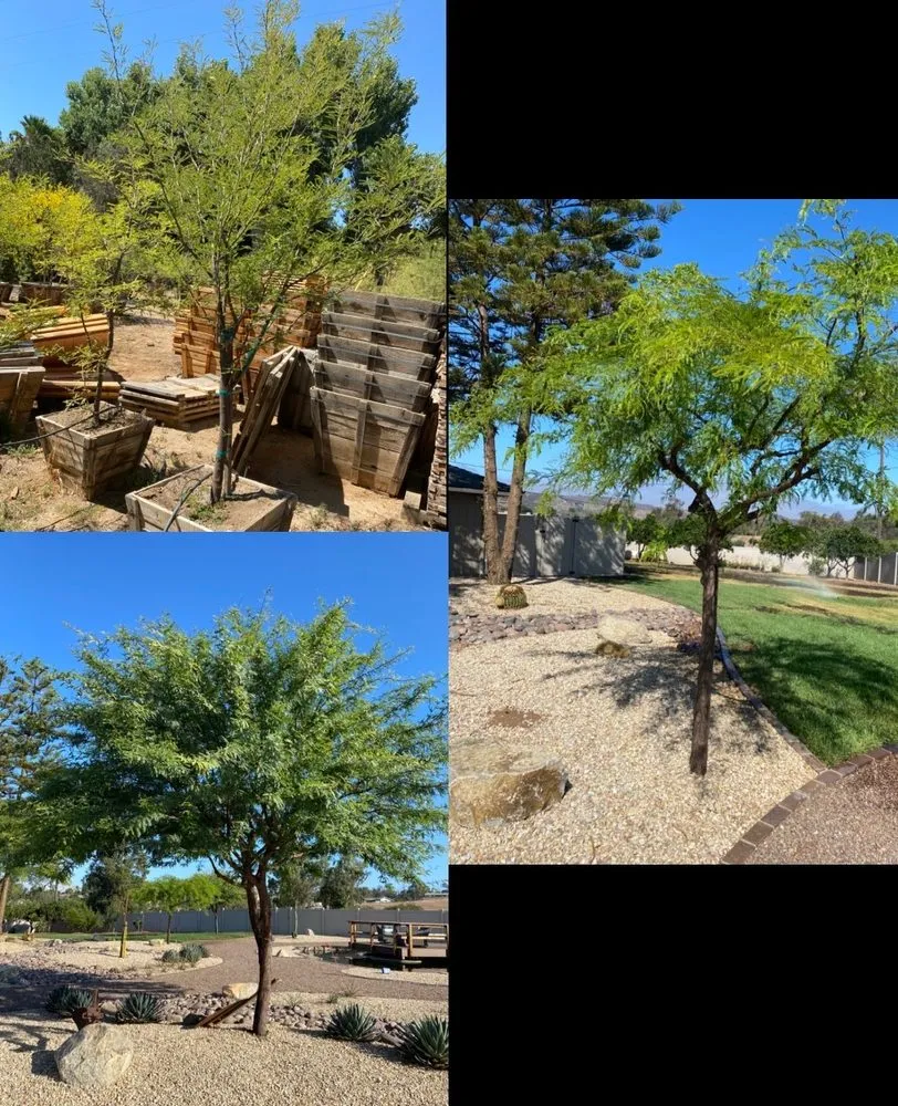 Professional lawn mowing service in Ramona, CA by Meda Landscape