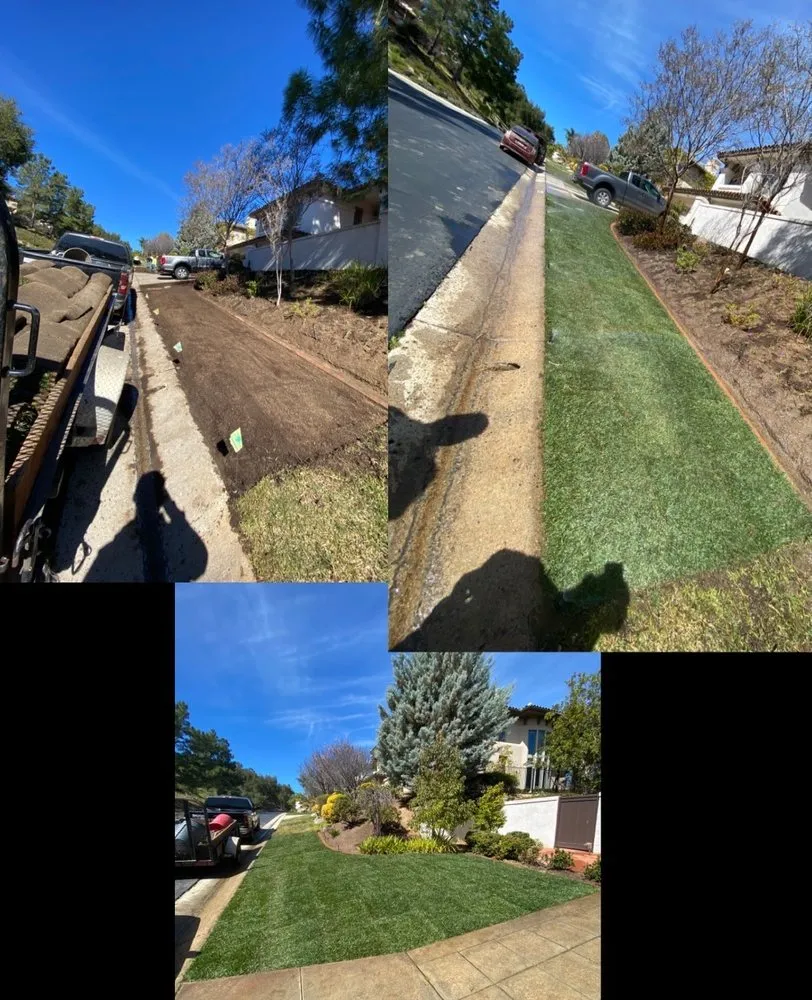 Top-rated landscape installation in Ramona, CA by Meda Landscape