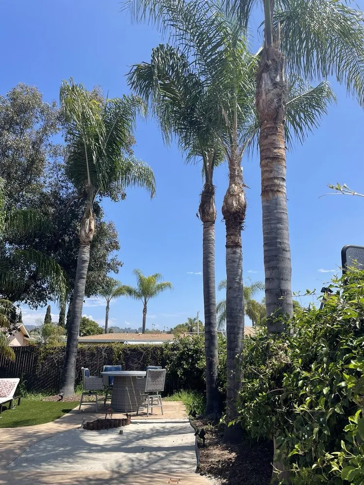 Affordable outdoor landscaping in Ramona, CA by Meda Landscape