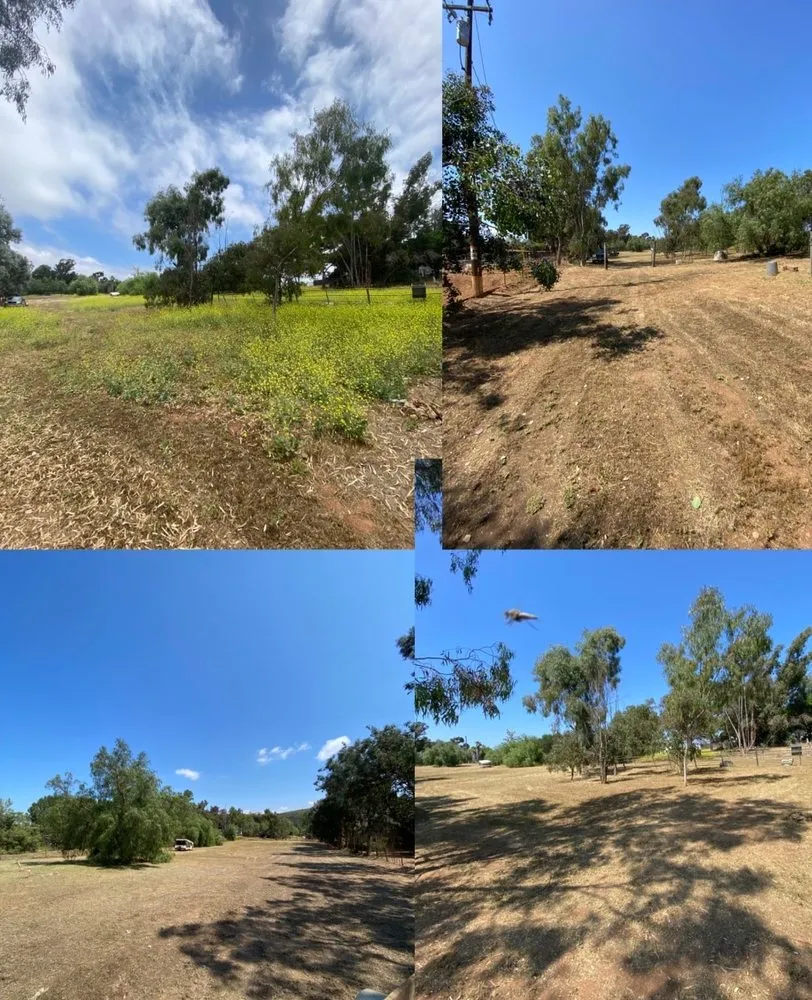 Expert landscaping services experts serving Ramona, CA - Meda Landscape