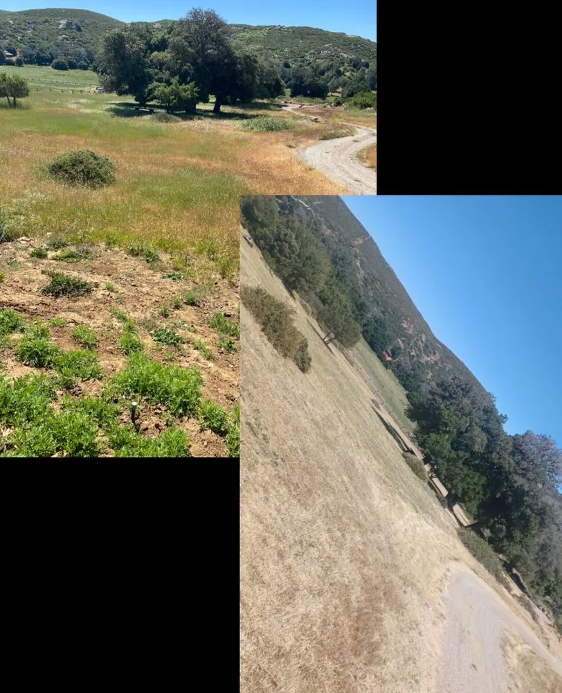 Local lawn care service for residential properties in Ramona, CA by Meda Landscape