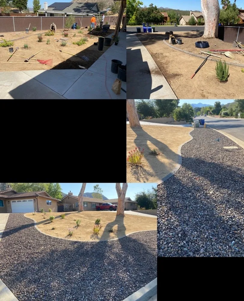 Reliable yard cleanup service experts serving Ramona, CA - Meda Landscape