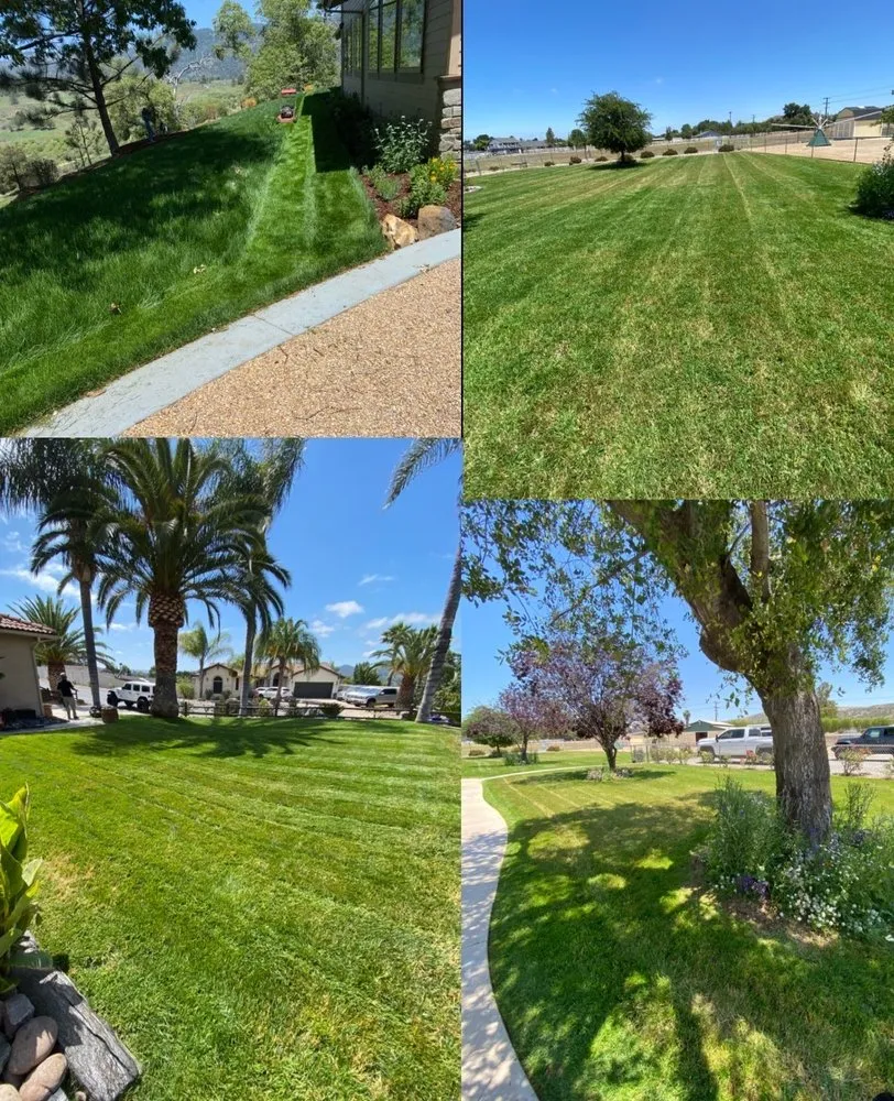 Affordable landscape design with custom design across Ramona, CA - Meda Landscape