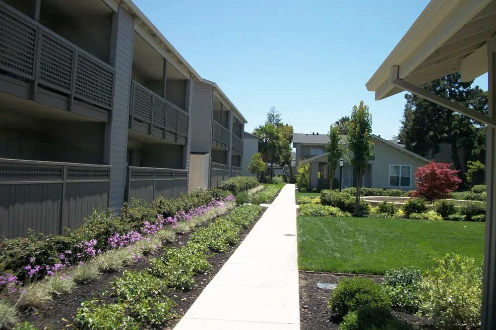 Reliable landscaping services in Morgan Hill, CA by Medallion Landscape