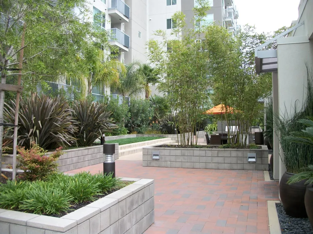 Trusted lawn care service for residential properties across Morgan Hill, CA - Medallion Landscape