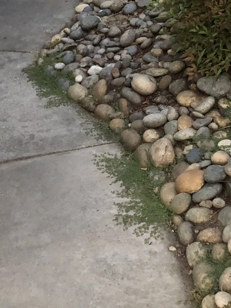 Affordable landscape design with custom design across Morgan Hill, CA - Medallion Landscape