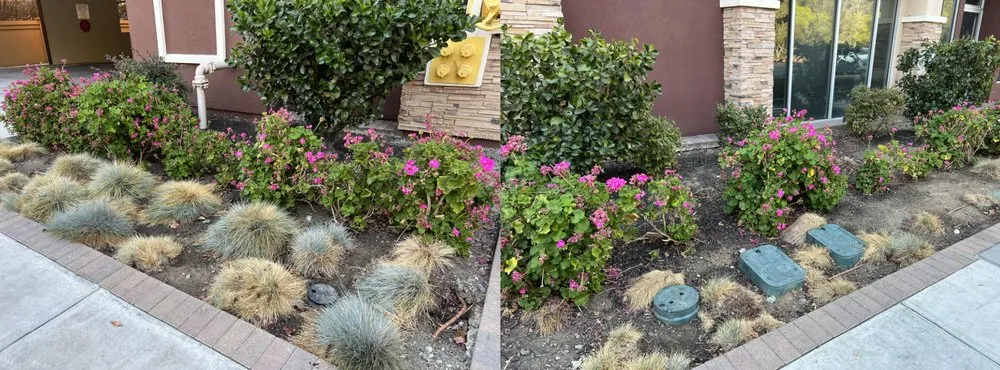 Local outdoor landscaping for beautiful yards in Morgan Hill, CA by Medallion Landscape