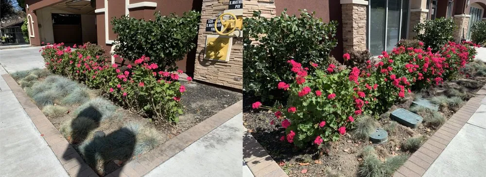 Expert garden landscaping for beautiful yards across Morgan Hill, CA - Medallion Landscape