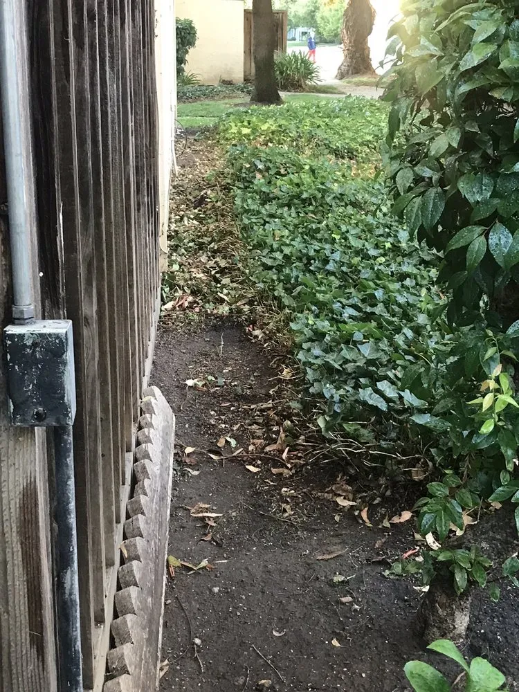 Expert garden landscaping in Morgan Hill, CA by Medallion Landscape