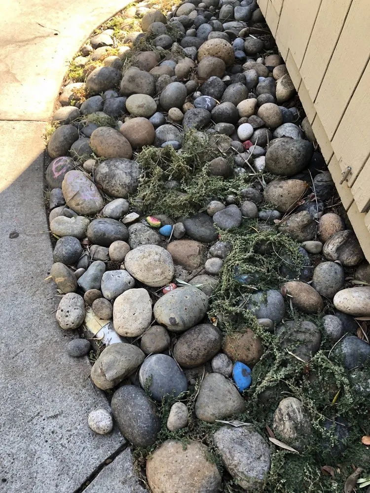 Custom landscaping services in Morgan Hill, CA by Medallion Landscape