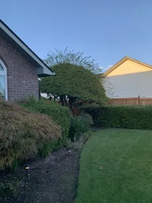 Medallion Landscape Service Logo