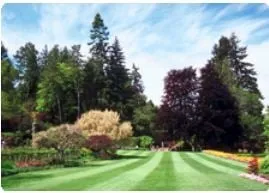 Reliable yard maintenance experts serving North Dartmouth, MA - Medeiros & Sons Landscaping