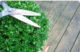 Trusted garden landscaping in North Dartmouth, MA - Medeiros & Sons Landscaping