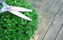 Professional landscape design for outdoor upgrades across North Dartmouth, MA - Medeiros & Sons Landscaping