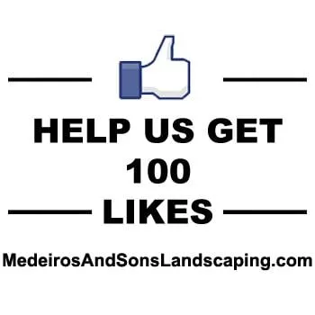 Professional yard maintenance experts serving North Dartmouth, MA - Medeiros & Sons Landscaping