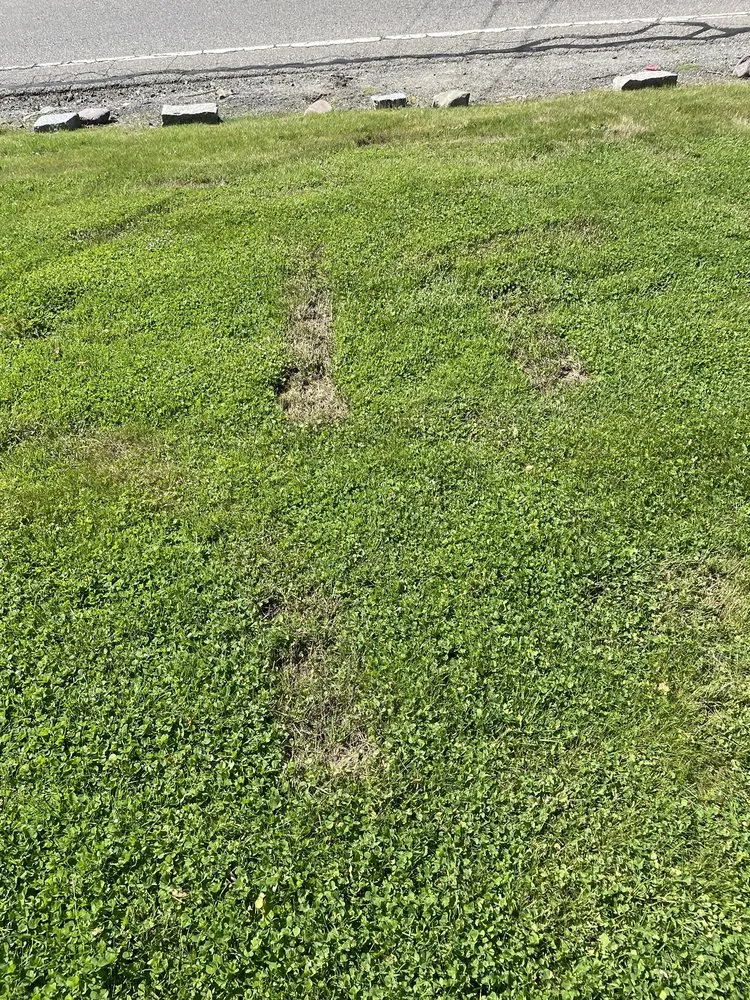 Professional yard maintenance for homes in Stoughton, MA by Medeiros Landscaping