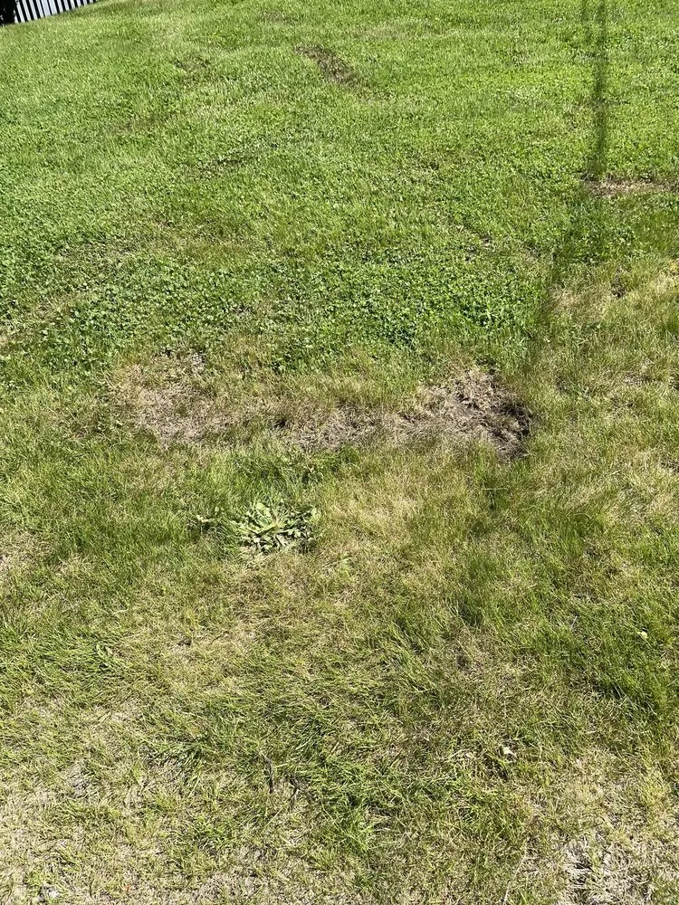 Professional landscape installation experts serving Stoughton, MA - Medeiros Landscaping