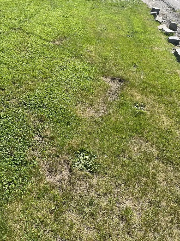 Local lawn mowing service for residential properties in Stoughton, MA by Medeiros Landscaping