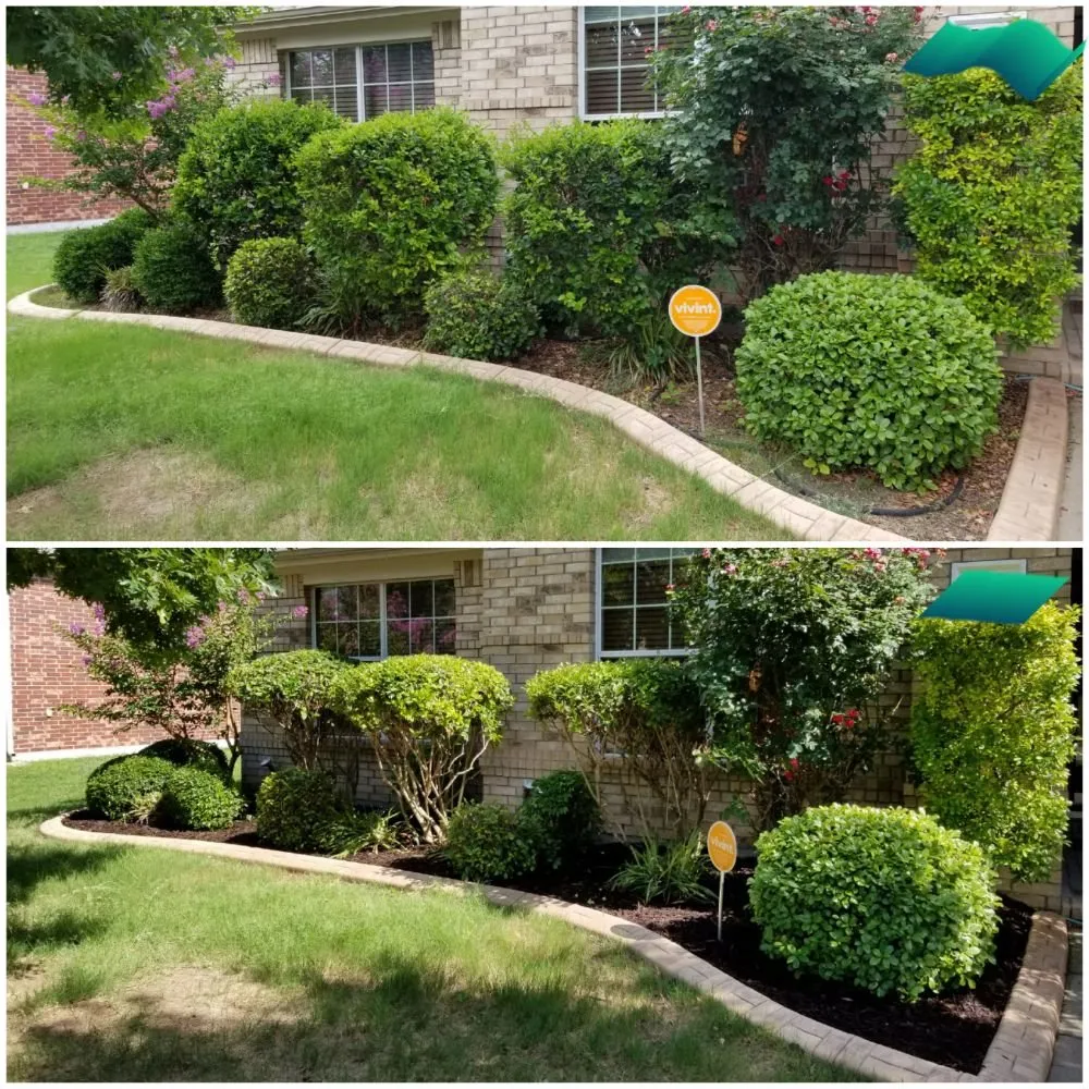 Custom yard maintenance for homes across Dallas, TX - Medel Services