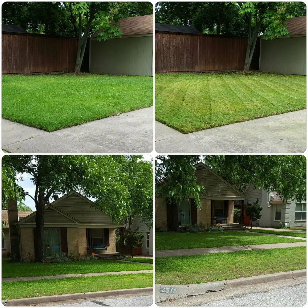 Top-rated yard cleanup service experts serving Dallas, TX - Medel Services