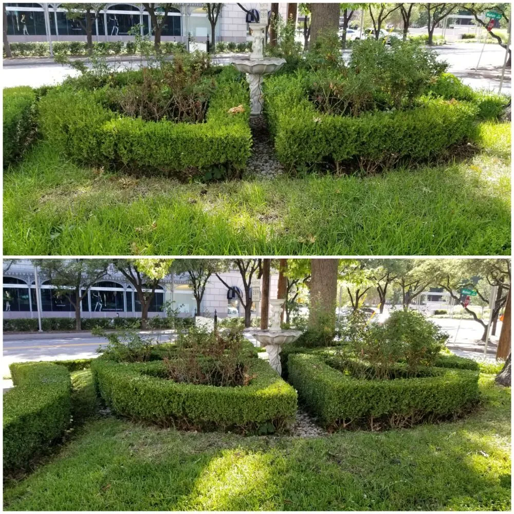 Local residential landscaping in Dallas, TX - Medel Services