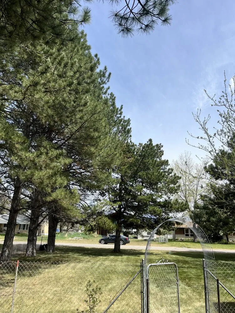 Local landscaping services for beautiful yards in Roy, UT by Medel’s Lawn Care