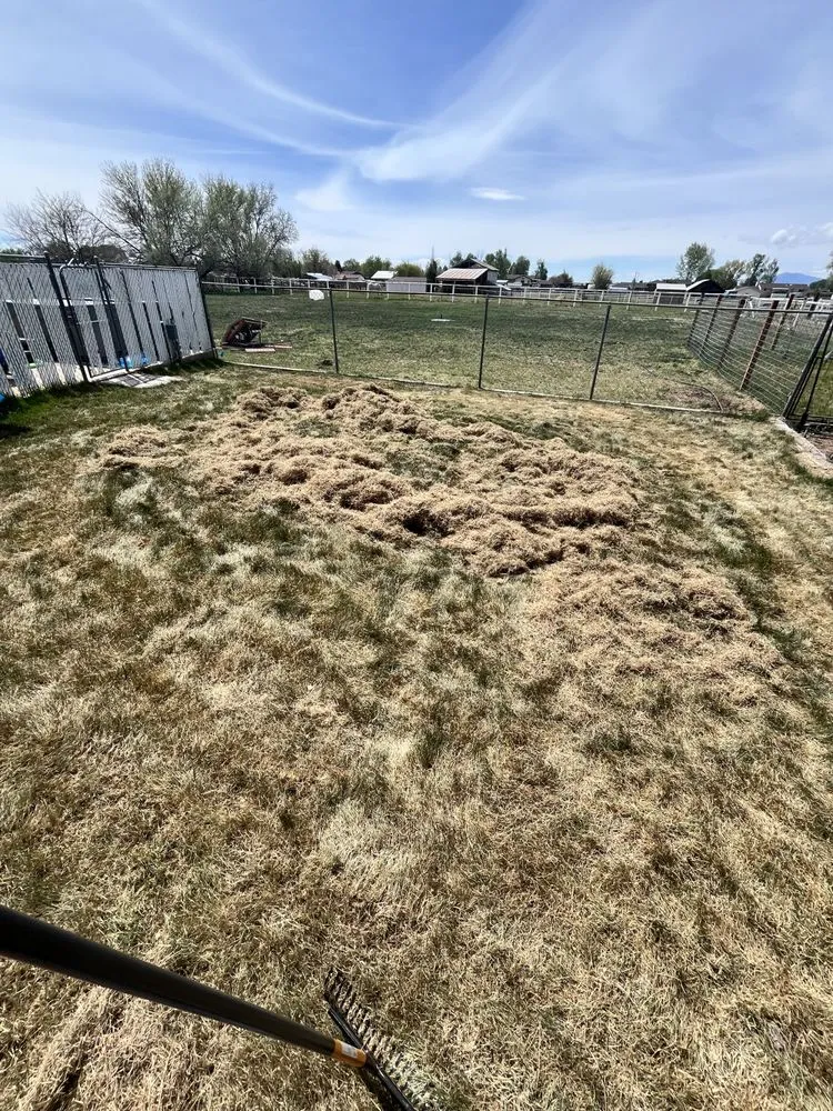 Reliable lawn mowing service experts serving Roy, UT - Medel’s Lawn Care