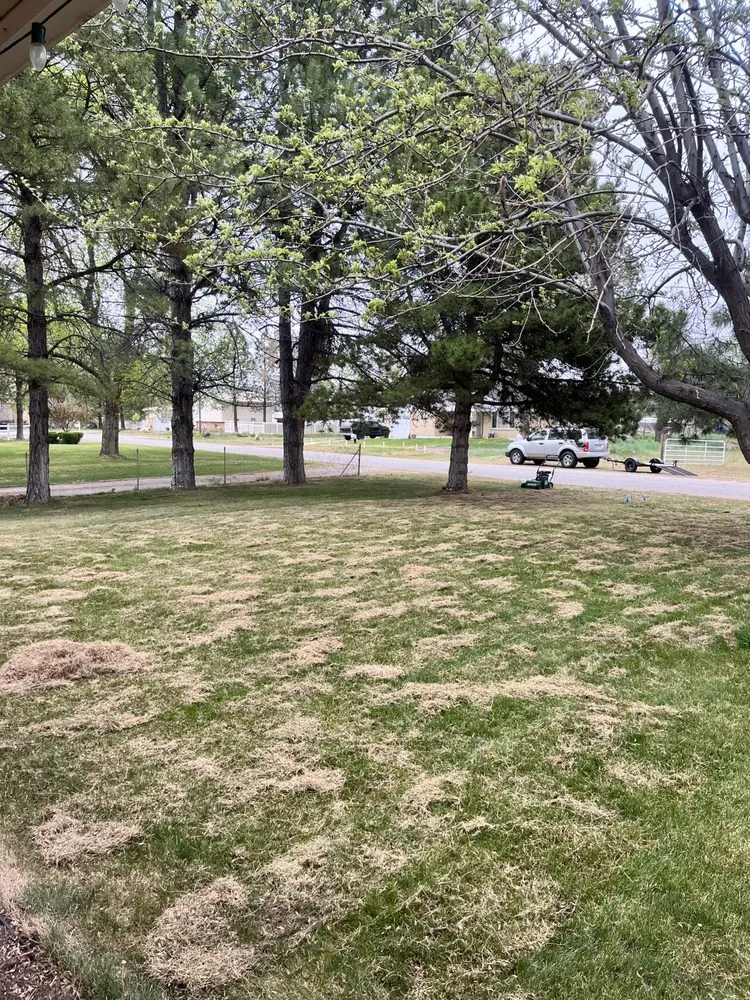 Affordable landscaping services for beautiful yards in Roy, UT by Medel’s Lawn Care