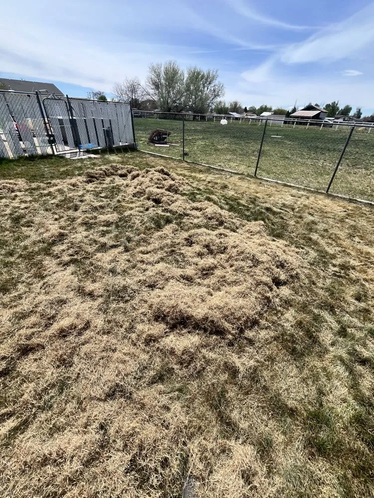 Trusted garden landscaping in Roy, UT by Medel’s Lawn Care