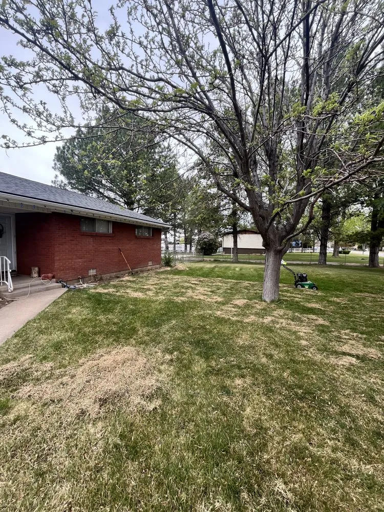 Affordable lawn mowing service in Roy, UT - Medel’s Lawn Care