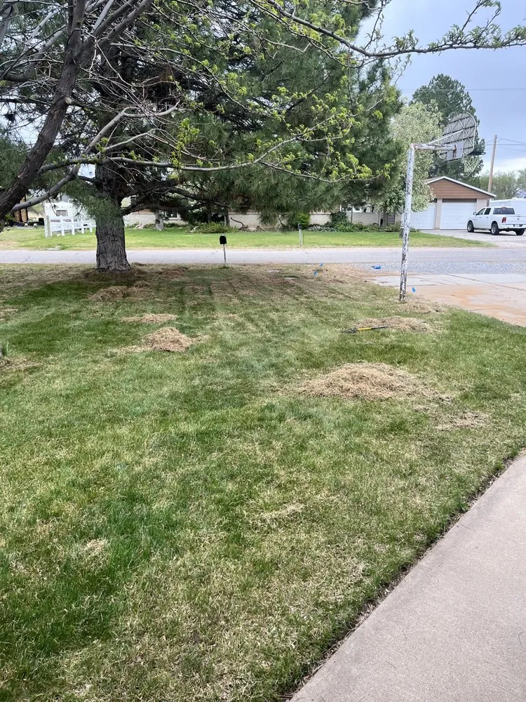 Top-rated yard maintenance with custom design in Roy, UT by Medel’s Lawn Care