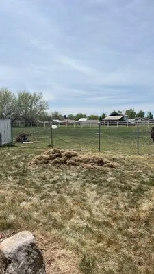 Medel’s Lawn Care Logo