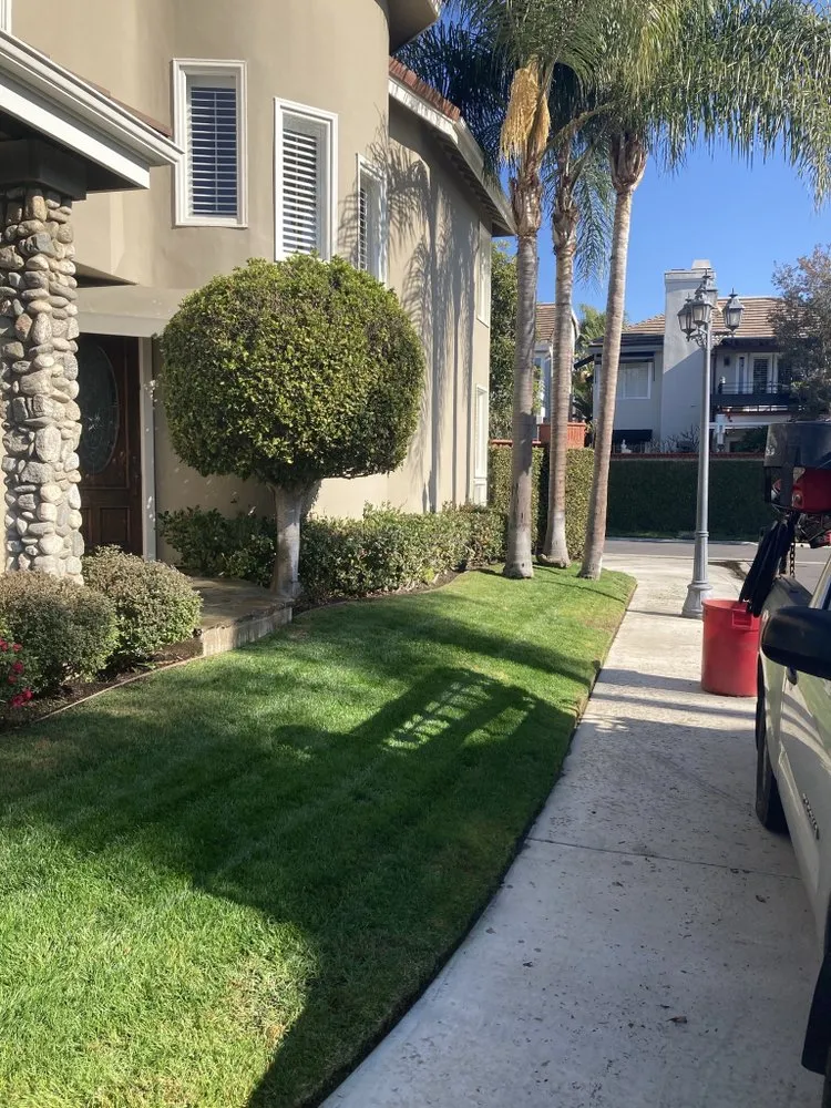 Trusted garden landscaping in Bellflower, CA by Mederos Landscaping