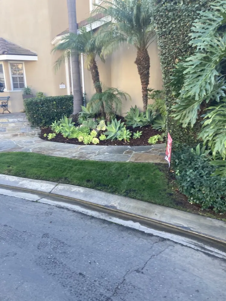 Expert yard maintenance in Bellflower, CA by Mederos Landscaping